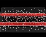 تولید رگ‌های خونی توسط پرینت سه بعدی