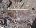 کشف قدیمی‌ترین ردپای مهره‌داران عصر دایناسورها در ایران