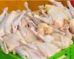 کشف 14 تن سنگدان غیرمجاز مرغ در کارخانه تولید همبرگر‌