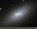 یک کهکشان کوتوله به شکار «هابل» درآمد