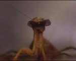 آزمایش دید سه بعدی حشرات با کوچکترین عینک سه بعدی دنیا(+عکس)