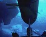 روبات کاوشگر اولین ماجراجوی اعماق قطب جنوب + تصاویر