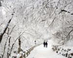 اس ام اس زیبای روزهای برفی و زمستونی (5)