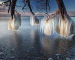 درختان یخی در دریاچه اونتاریو