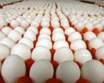 تخم‌مرغ جای افزایش قیمت ندارد/ مشتریان خارجی جا زدند