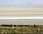 هزینه 200 میلیارد دلاری احیای دریاچه ارومیه