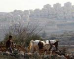 اسرائیل 100 هزار هکتار زمین فلسطینی ها را مصادر کرد / بزرگترین مصادره در 30 سال گذشته