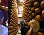 تولید پنیر آزمایشگاهی بدون شیر