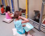 تمرین مهارتِ خواندن در پناهگاه سگ ها!