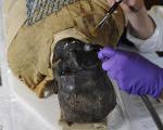 تصاویری از تمیز کردن مومیایی 2500 ساله در بیمارستان بوستون