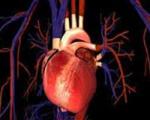 رابطه فعالیت جنسی و بیماری قلبی
