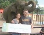 درخواست ازدواج با کمک یک فیل +عکس