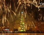 بزرگترین درخت کریسمس جهان +عکس