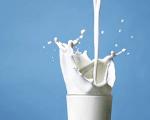 یك كارشناس علوم دامی:كاهش قیمت تمام شده شیر و لبنیات نیازمند حمایت دولت است