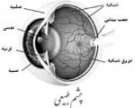 متخصص بیماری های چشم:  قطره های اشك مصنوعی از سوزش چشم در هوای آلوده جلوگیری می كند