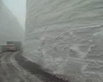 «موگویی» در محاصره برف +عکس