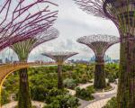 سنگاپور اولین پارک جنگلی ما قبل تاریخ را می‌سازد + تصاویر