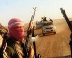 داعش در عراق موادمخدر می کارد؟