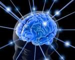 چگونه تمرکز مغزی و حافظه را به طور طبیعی تقویت کنیم؟