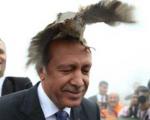 این پرنده روی سر اردوغان نشست!