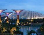 تصاویری از باغ مصنوعی با ابر درختان خورشیدی در سنگاپور