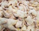 جمع‌آوری ۳۰ هزارتن مرغ از بازار
