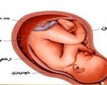 لکه‌بینی اوایل بارداری