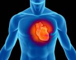 5 عامل‌ سکته‌ قلبی را فراموش‌نکنید