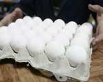 سنگینی قیمت هر شانه تخم‌مرغ روی شانه مردم