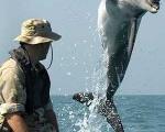 امریکا با استفاده از دلفین ها تنگه ی هرمز را باز می کند!