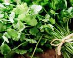 نکاتی برای کاشت و برداشت سبزیجات در خانه
