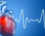 علل، علائم و راههای پیشگیری از حمله قلبی