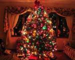 تزیین درخت کریسمس سال 2013