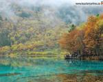 انعکاس درختان کهن در آبهای شفاف این دریاچه چینی! / عکس
