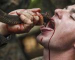 تصاویری از تمرین زنده ماندن با خوردن خون مار کبری و کندن سر مرغ زنده با دهان