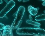 کشف باکتری مقاوم در برابر آنتی بیوتیک‌ها