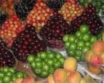 قیمت میوه و سبزیجات در تهران + جدول