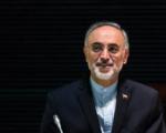 صالحی خبر داد: اعلام آمادگی اتحادیه اروپا برای همکاری با نظام ایمنی ایران