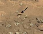 تصویر استخوان ران در مریخ+تصاویر