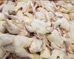 آلودگی گوشت مرغ به سرب کذب است/ در صورت اثبات، بیماران غرامت می‌گیرند