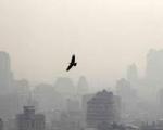 آلودگی هوا 3 درصد از عمر مفید را کاهش می دهد