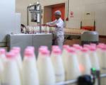 ترفندهای جدید لبنیاتی‌ها برای افزایش قیمت شیر