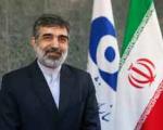 کمالوندی : برگزاری نشست ایران و آژانس در تهران/هنوز سانتریفیوژی جمع نشده است