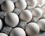 مرغ تخم طلا دیگر افسانه نیست/ تصمیم تولید کنندگان برای خروج از بازار تولید مرغ و تخم مرغ