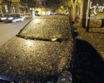 باران مدفوع در شهر رُم! +عکس