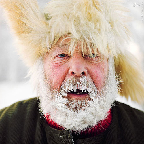 ساکنان قطب شمال