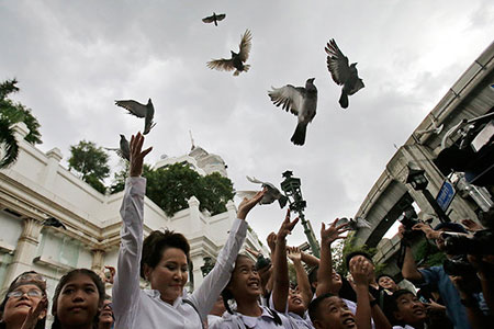 عکسهای جالب,عکسهای جذاب,آزاد سازی کبوتر ها