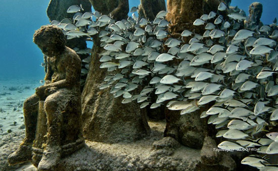 بزرگترین موزه زیر آب جهان +عکس
