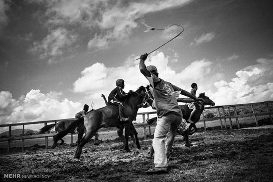 مسابقه اسب دوانی اجباری برای کودکان