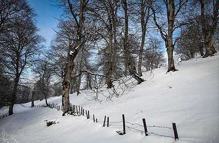 تصاویر بسیار جالب و دیدنی از طبیعت زمستانی
